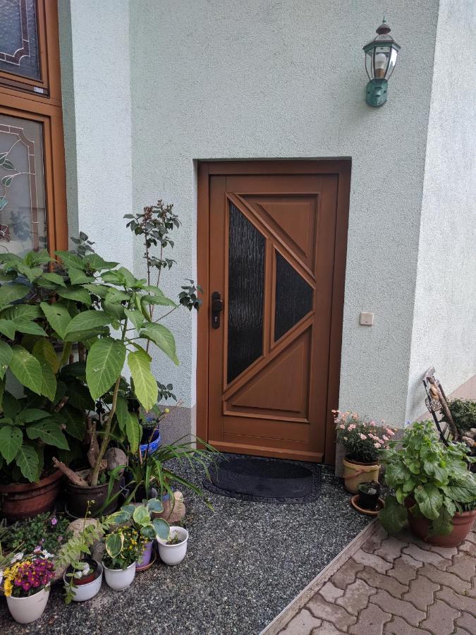 Ferienhaus Johanna & Ferienwohnung Thum Weischlitz Buitenkant foto